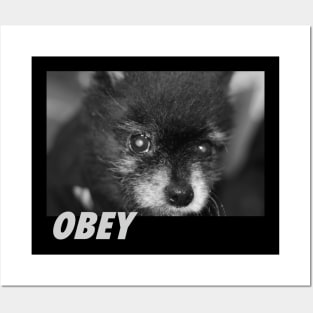 Obey Posters and Art